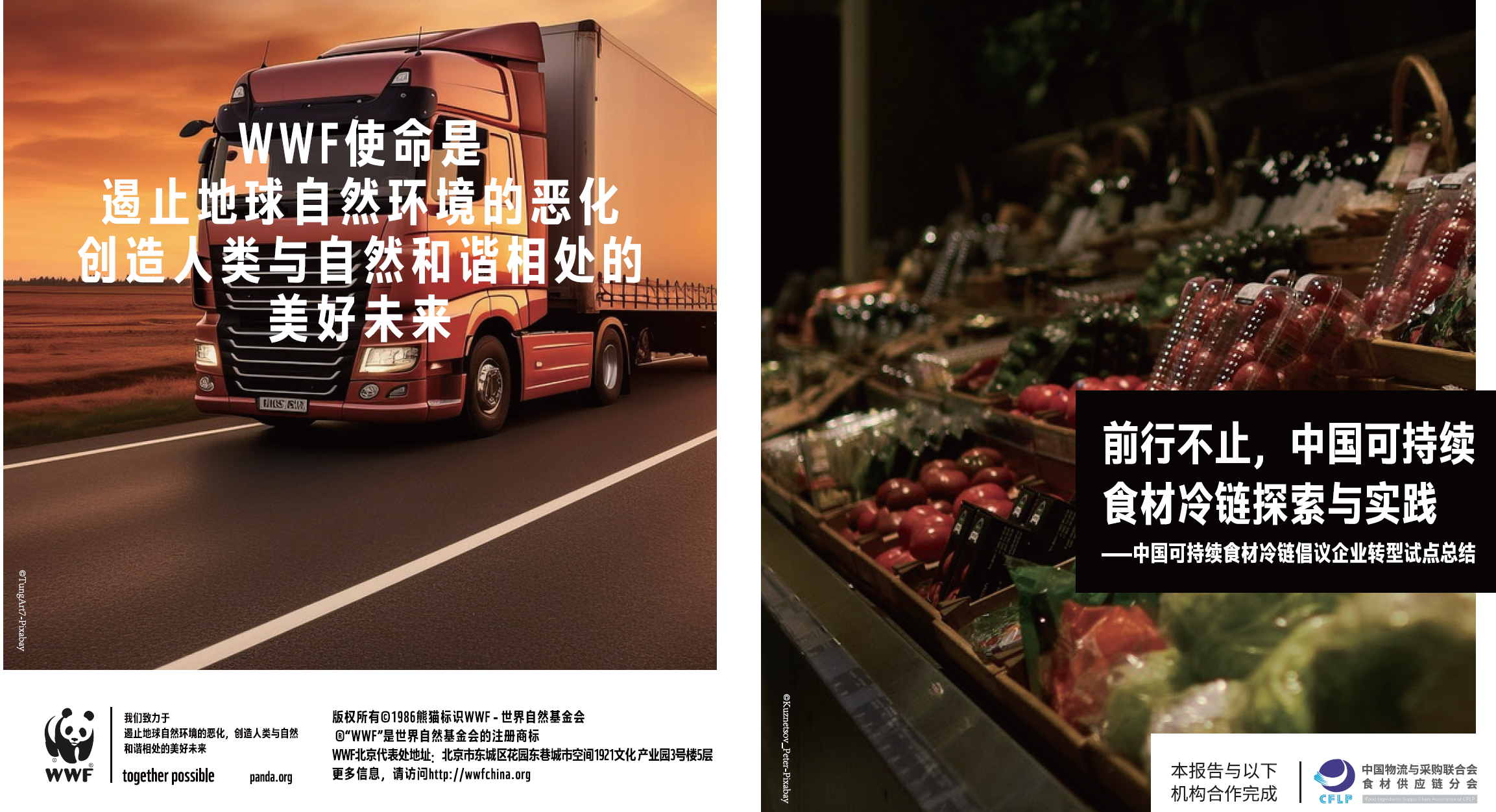 《前行不止,中国可持续食材冷链探索与实践.pdf》PDF下载