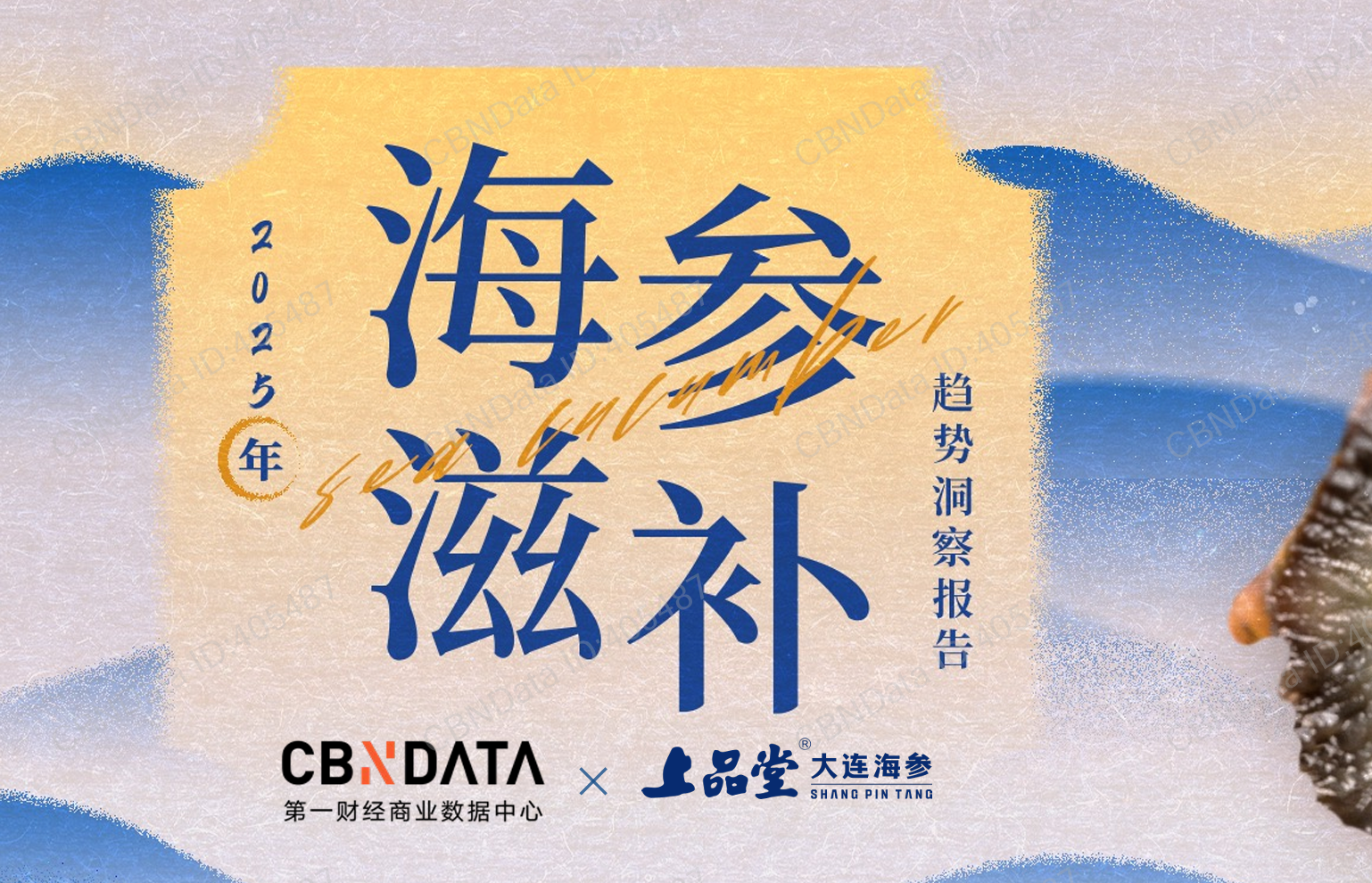 《2025海参滋补趋势洞察报告》PDF下载